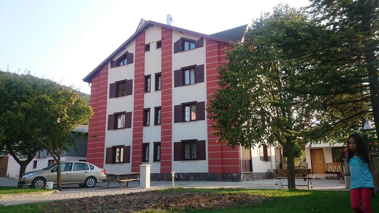 Mekan Ilica Apart Otel Karacasu  エクステリア 写真